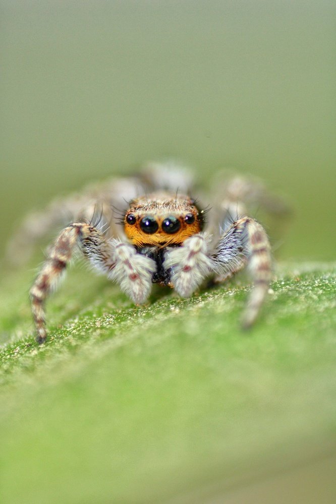 Photograph by Abhijit Shil