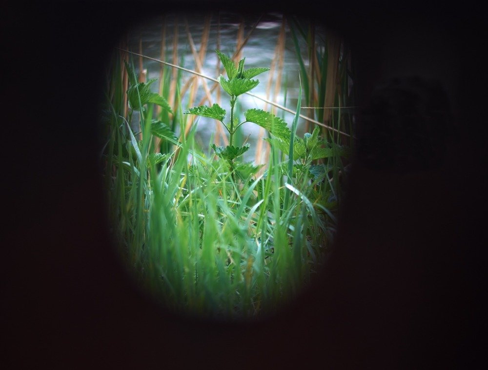 Photograph by Alexey Olkhovenko