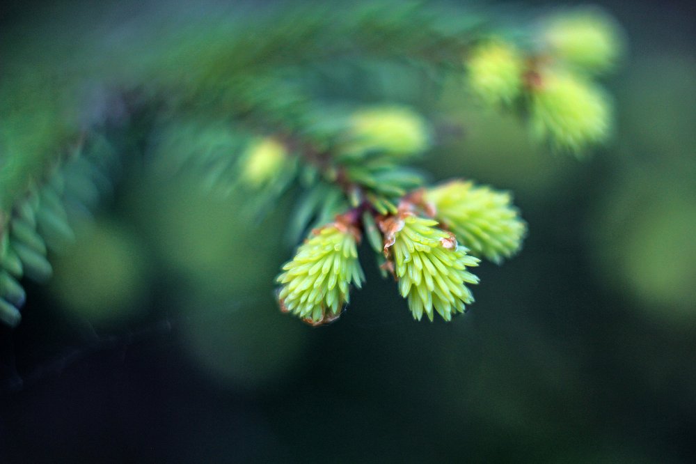 Photograph by Татьяна Шустрова