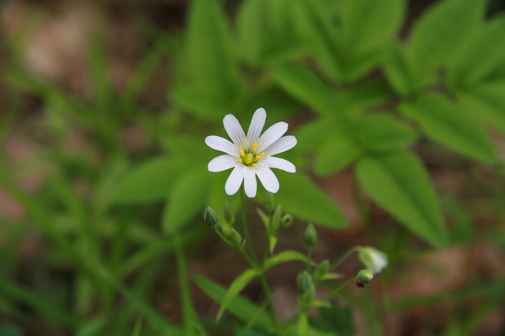 Photograph by Татьяна Шустрова