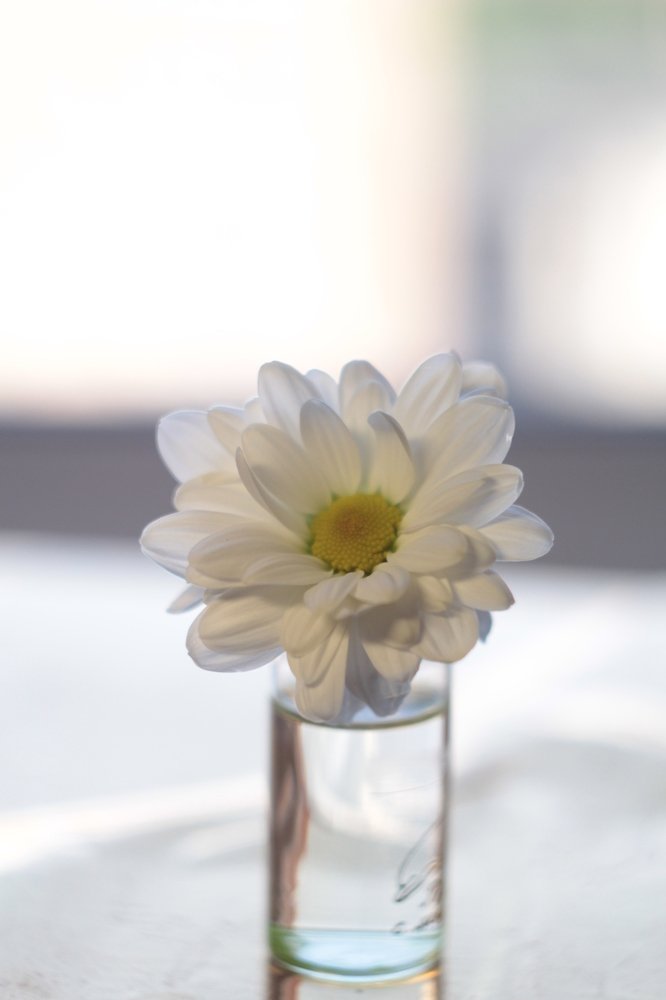 Photograph by Татьяна Шустрова