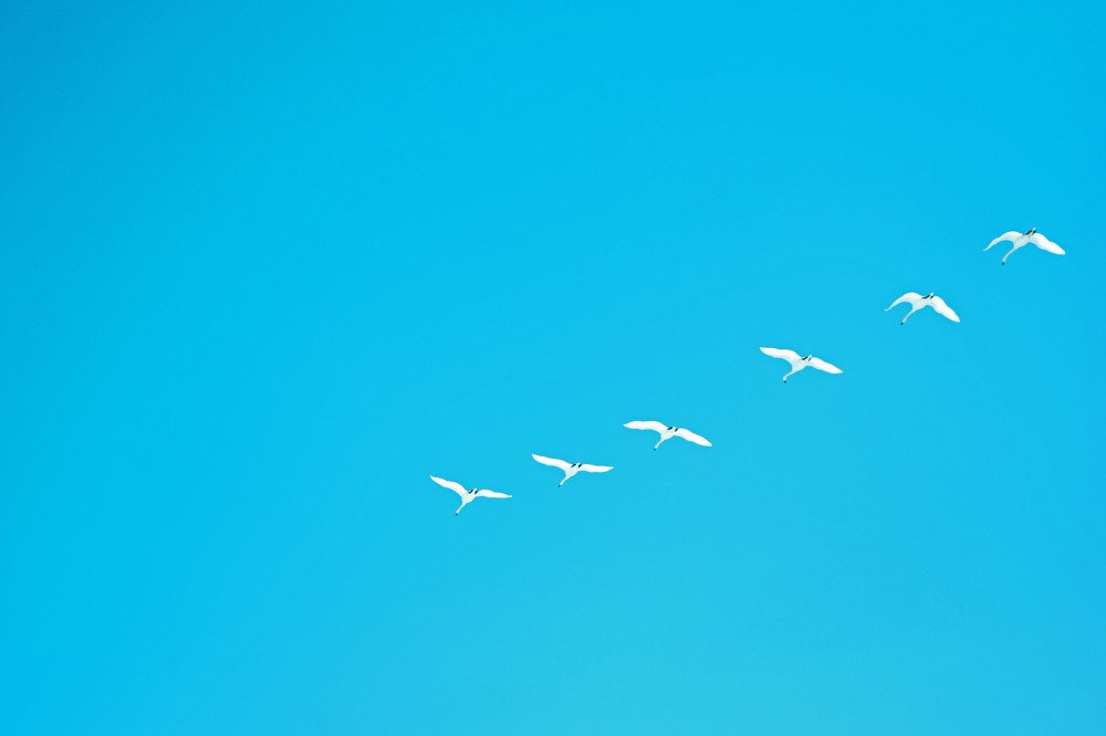 Photograph by Olga Haritonovich