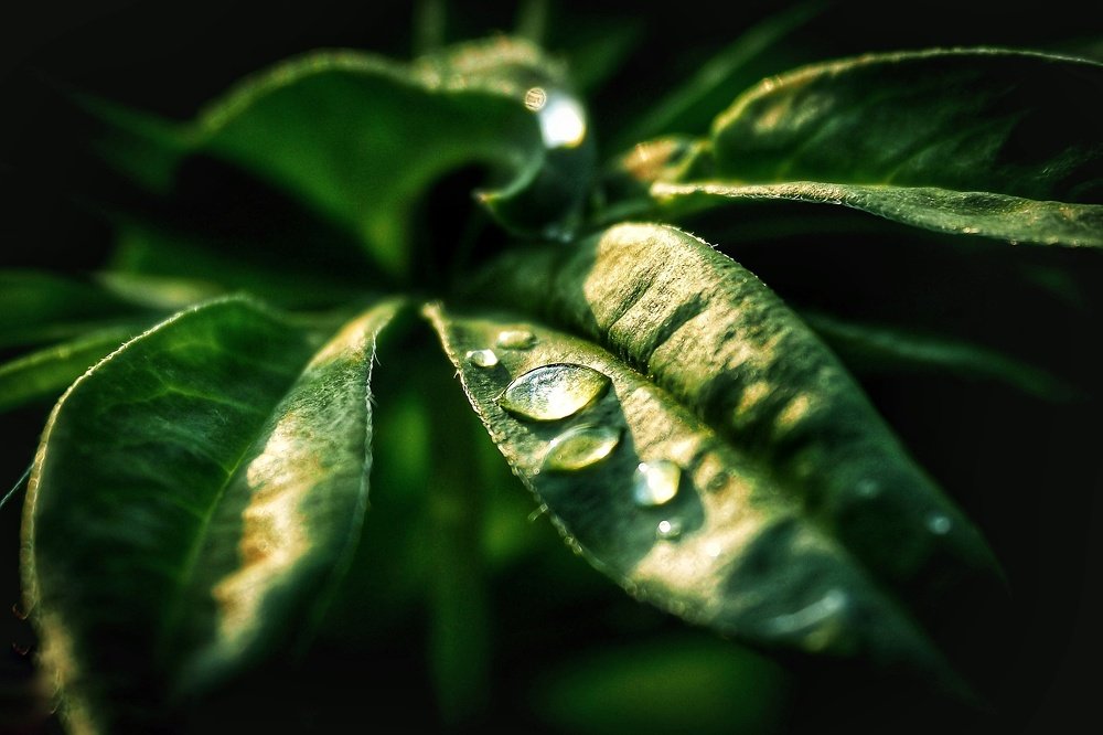 Photograph by Илья Шамин