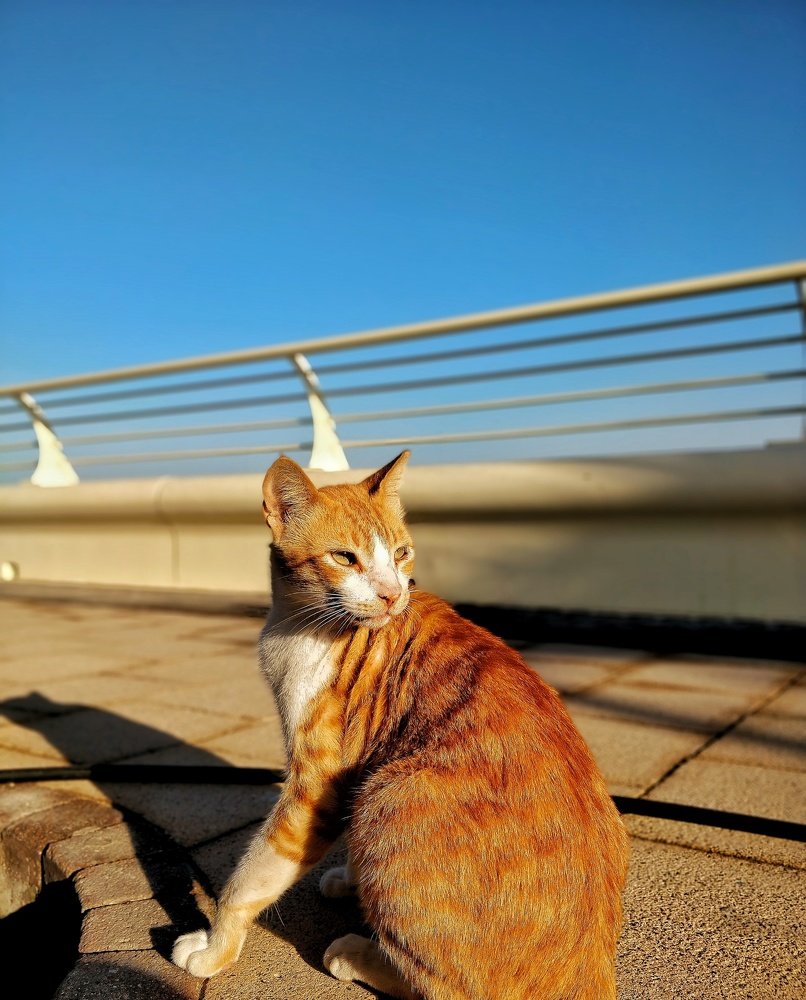 Photograph by Ismail Sadriwala