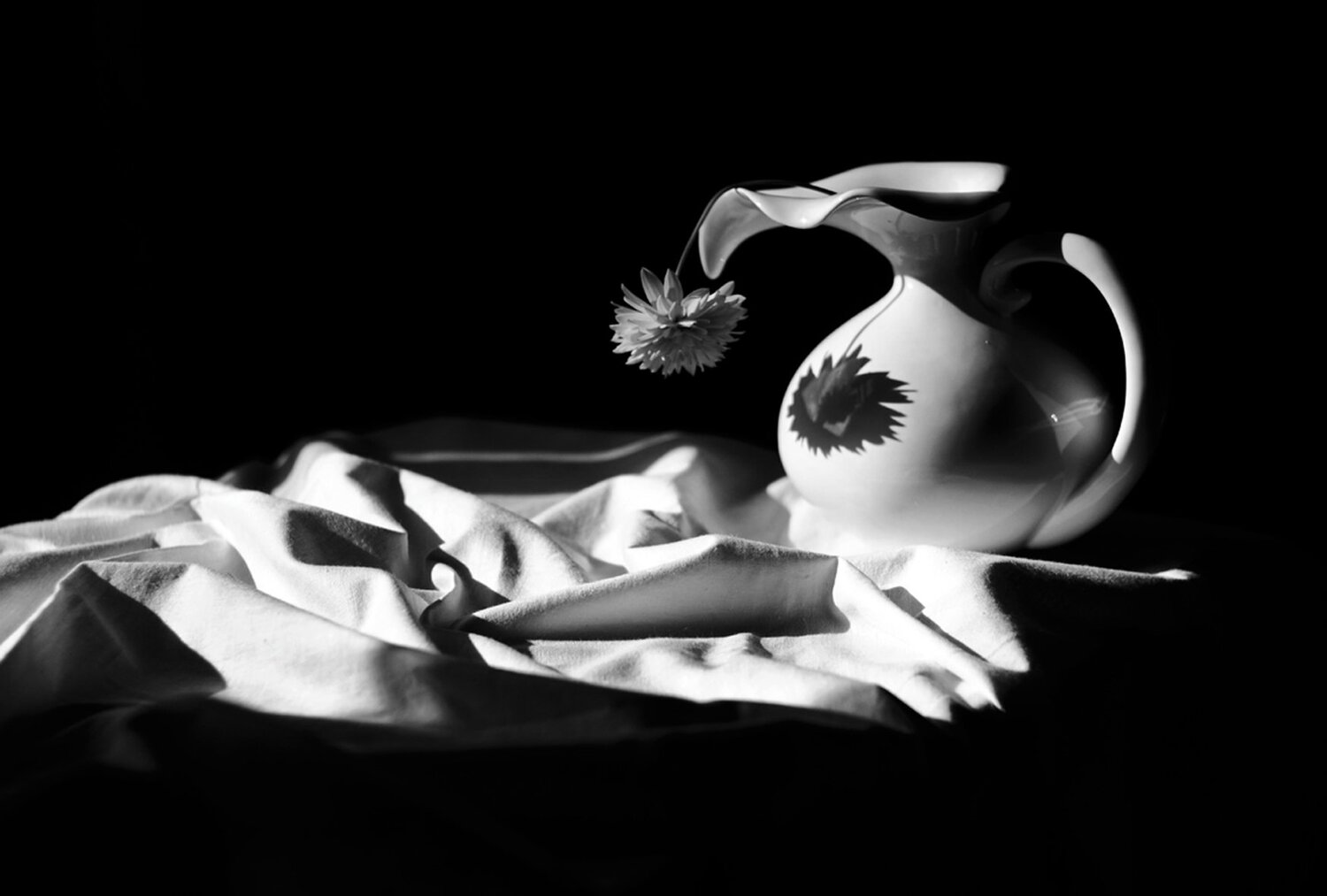 Photo #3578413