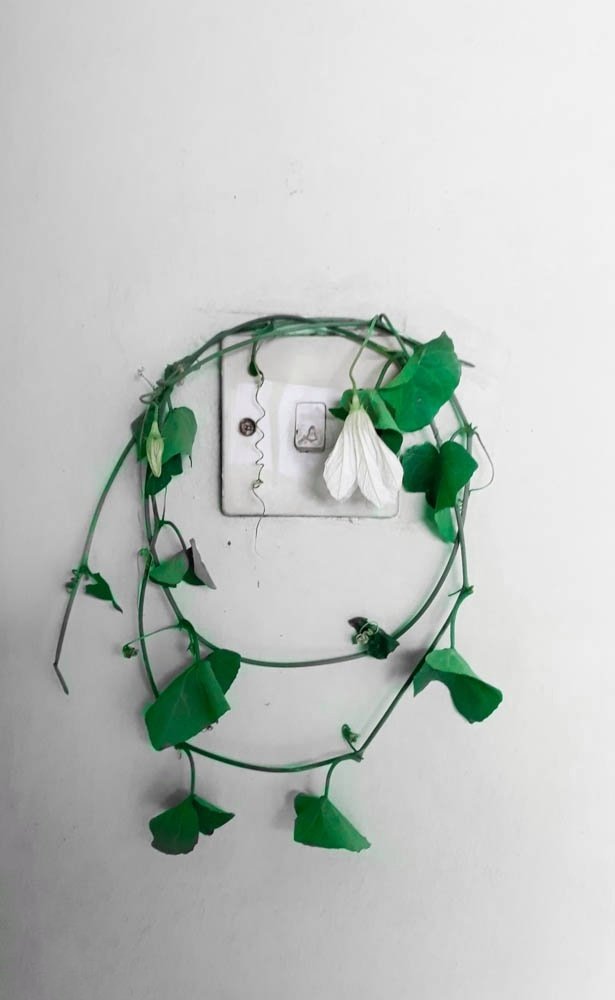 Photograph by Muhaiminul Islam Munaj Kazi