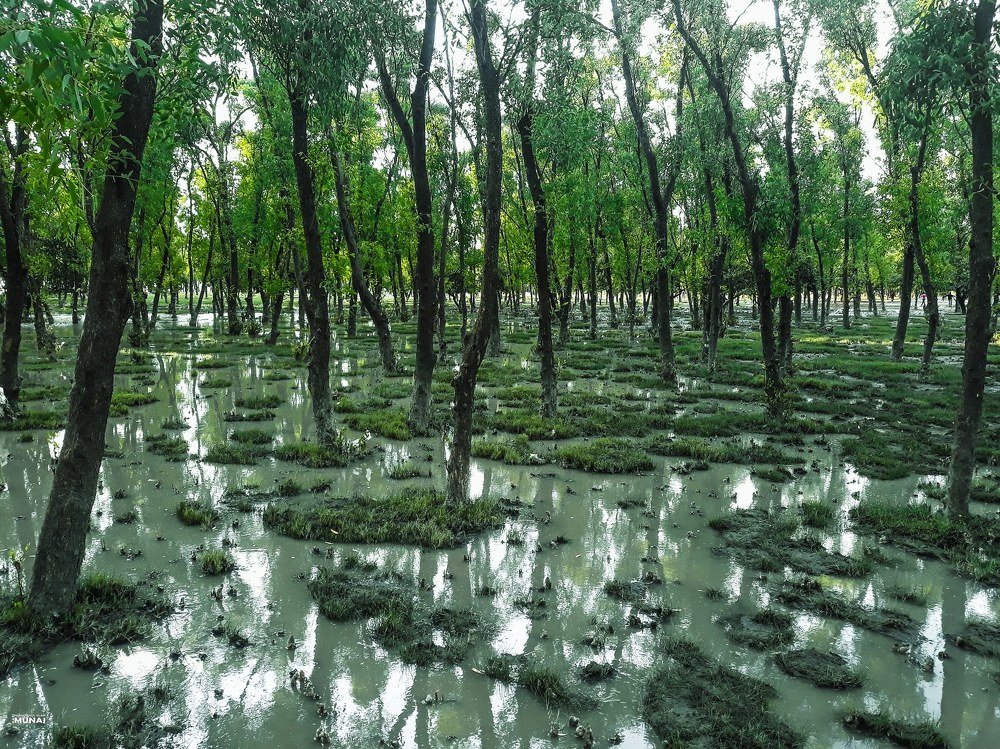 Photograph by Muhaiminul Islam Munaj Kazi