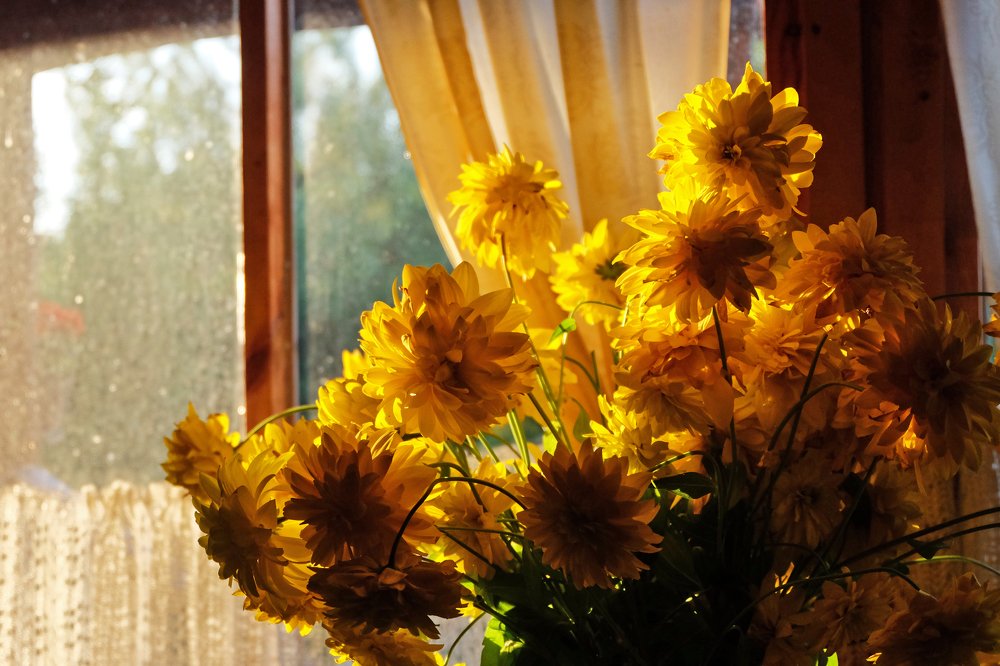 Photograph by Anna Saltykowa