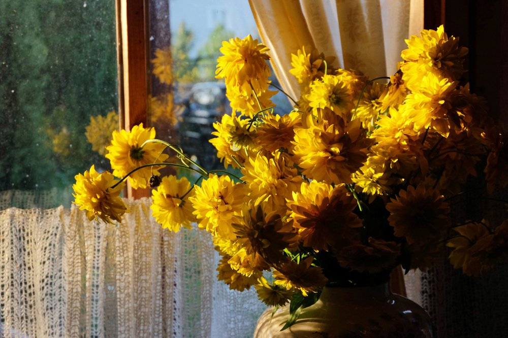 Photograph by Anna Saltykowa