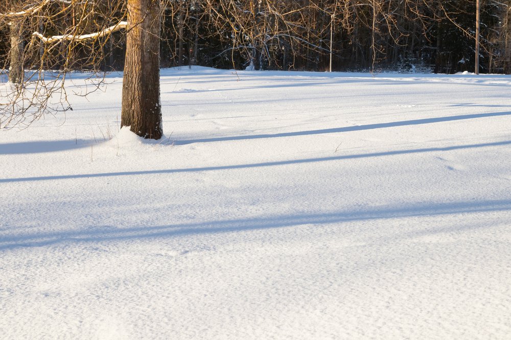 Photograph by Elena Noeva