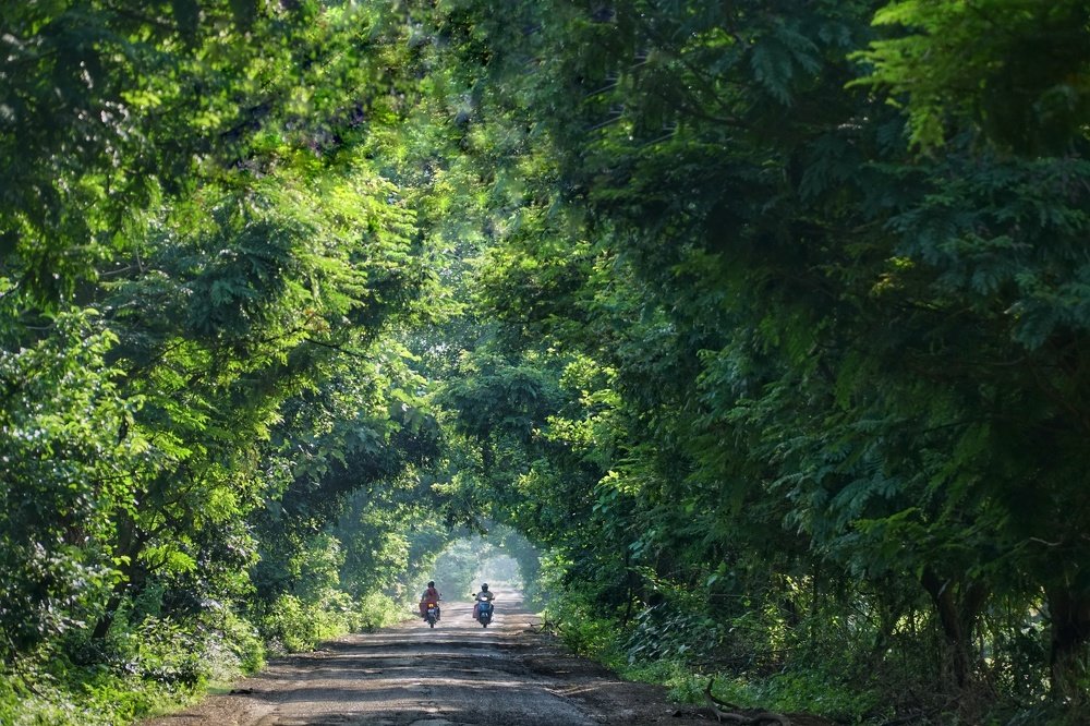 Photograph by Srinivas Pathipati