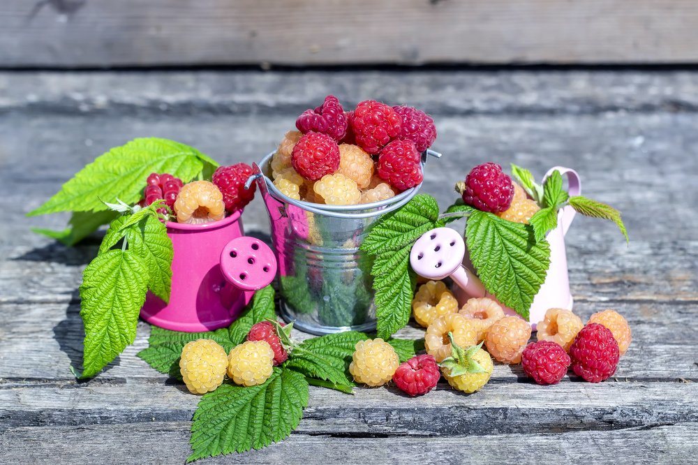 Photograph by Сергей Кочетов