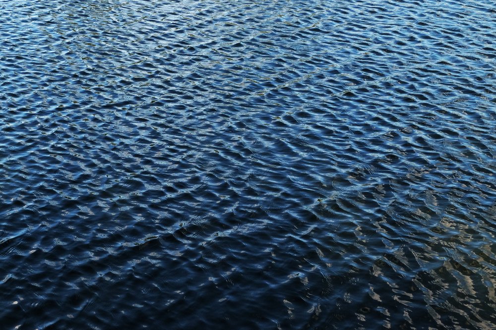 Photograph by Anna Saltykowa