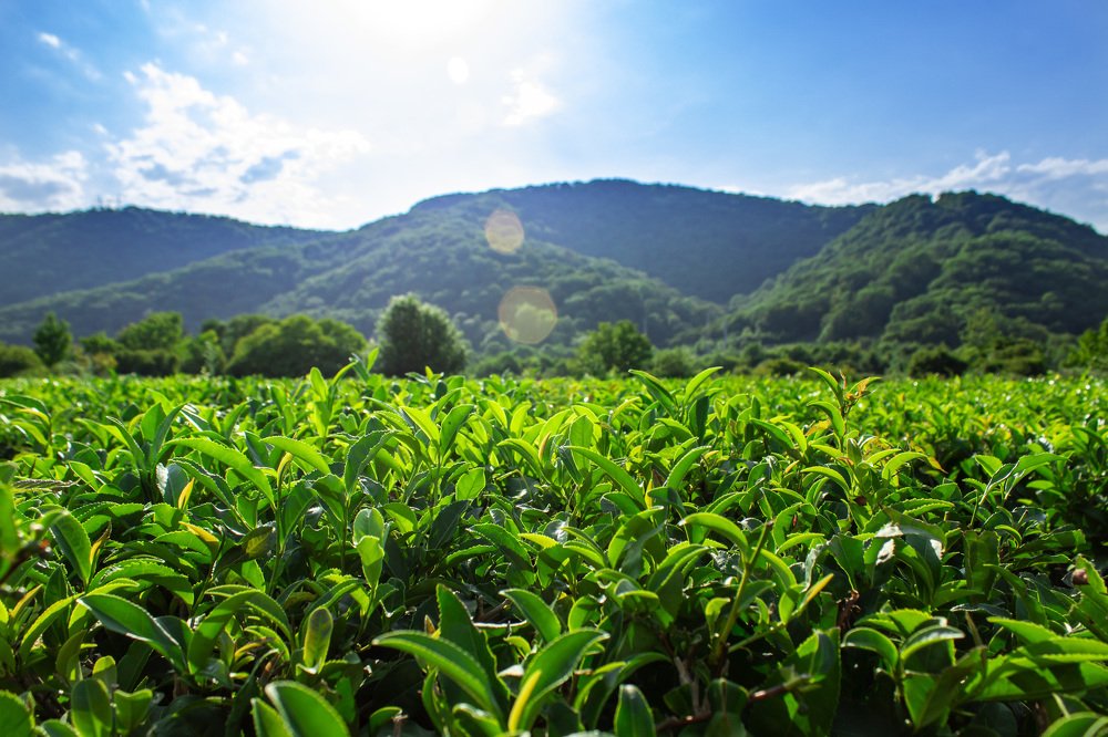 Photograph by Сергей Кочетов