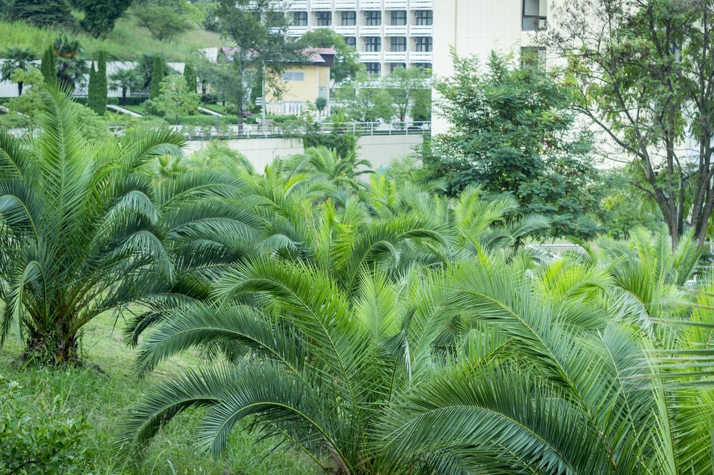 Photograph by Сергей Кочетов