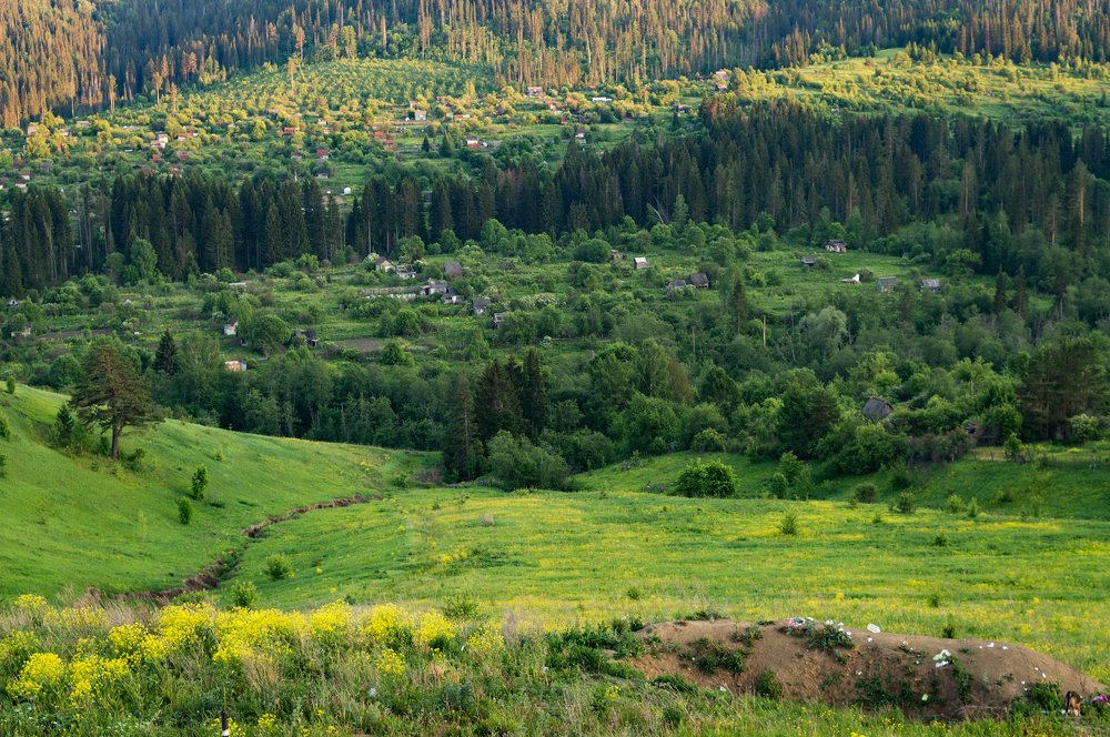 Деревня Сим