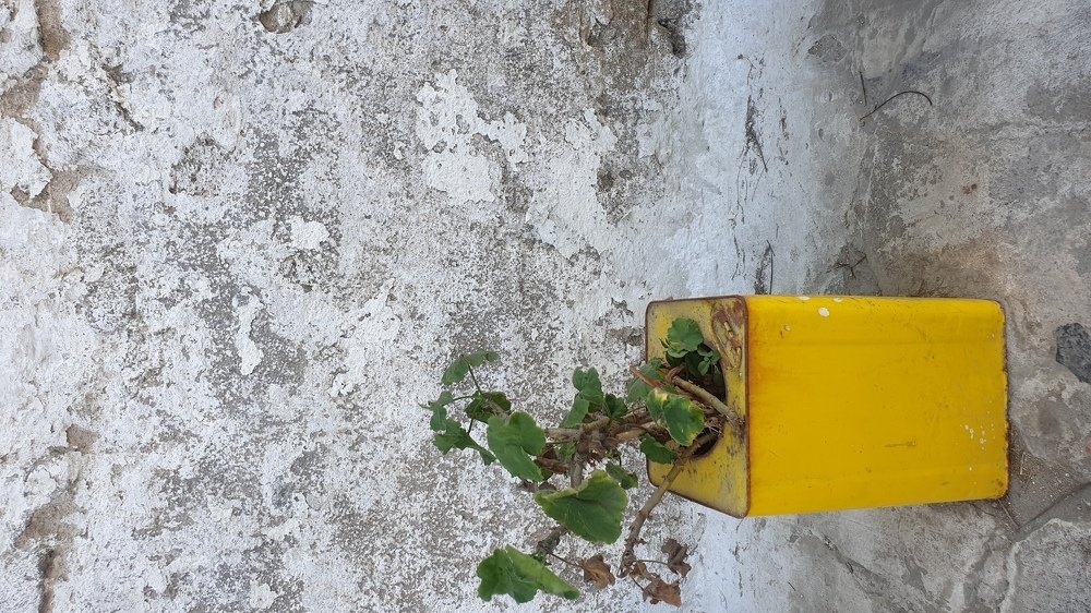 Photograph by Nick SAVVIDES