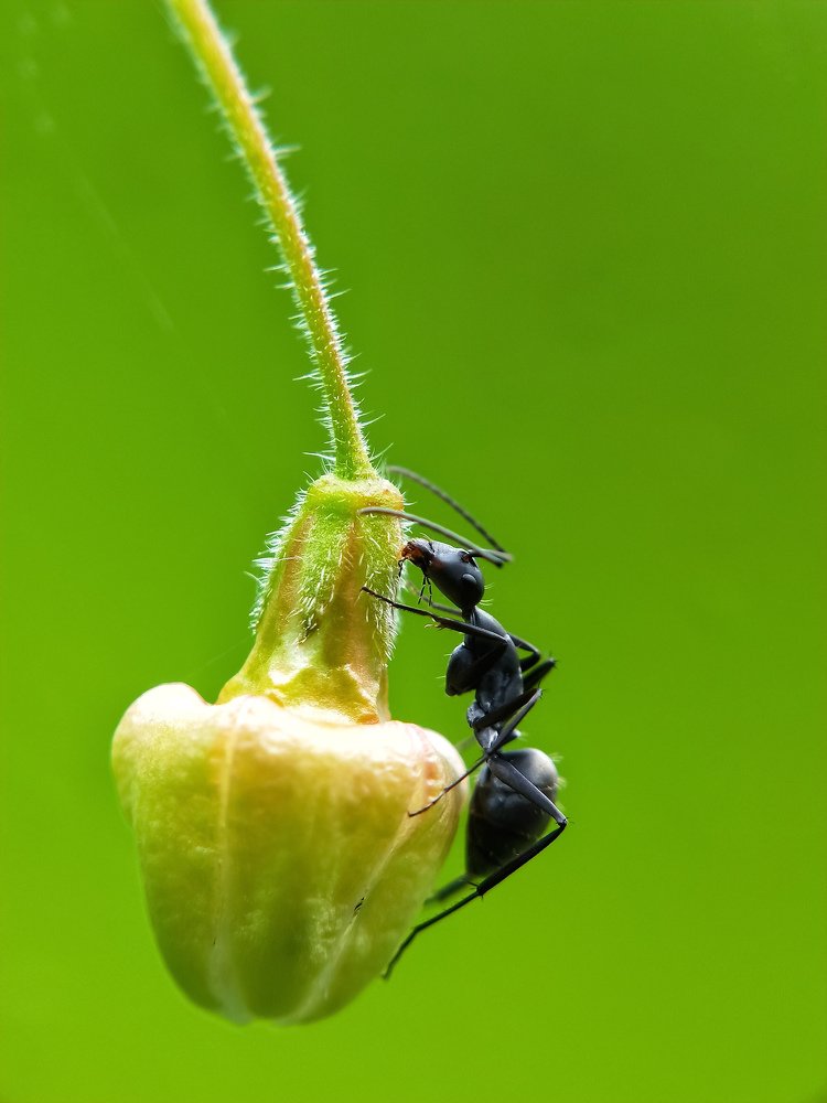 Photograph by Deepanta mahara