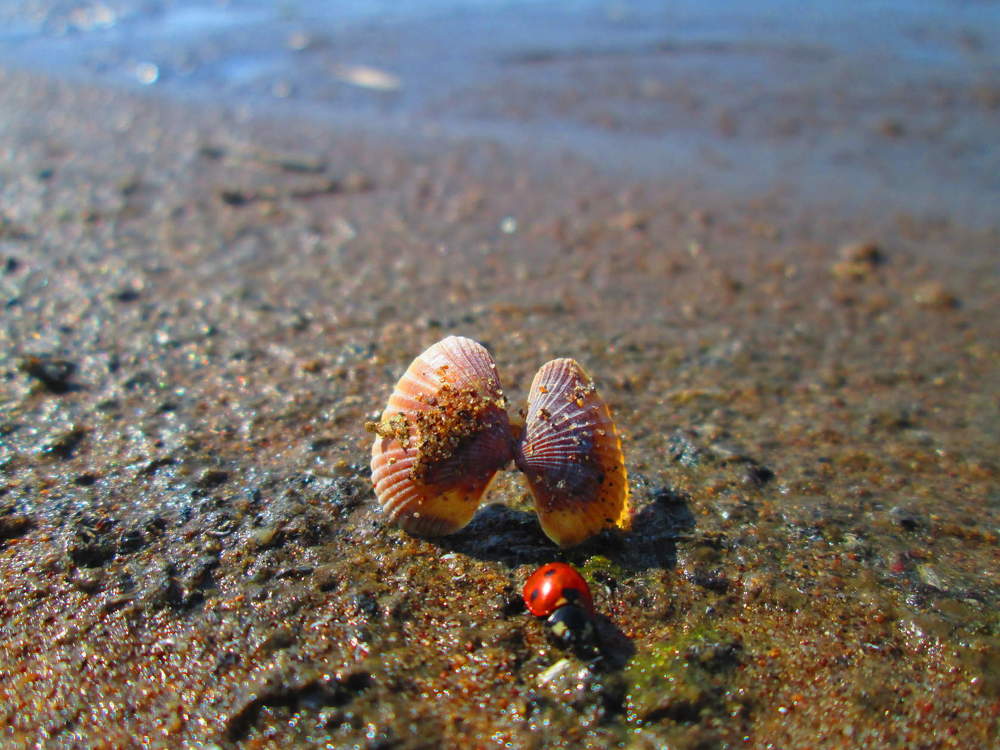 Photograph by Ольга