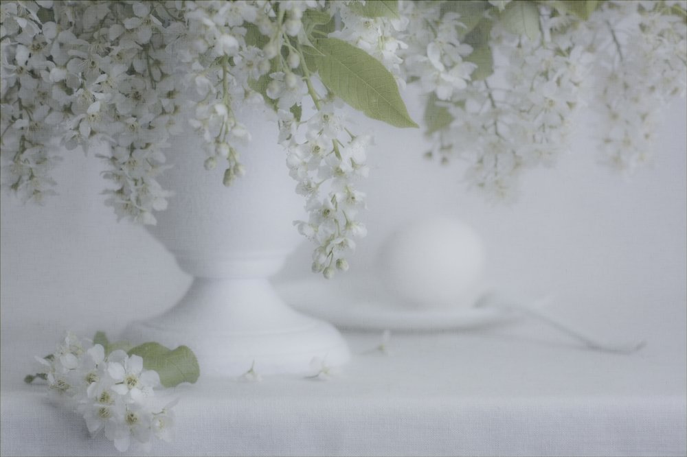 Завтрак для любимой