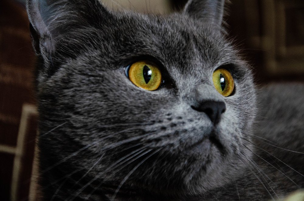 Photograph by Сергей Григоров