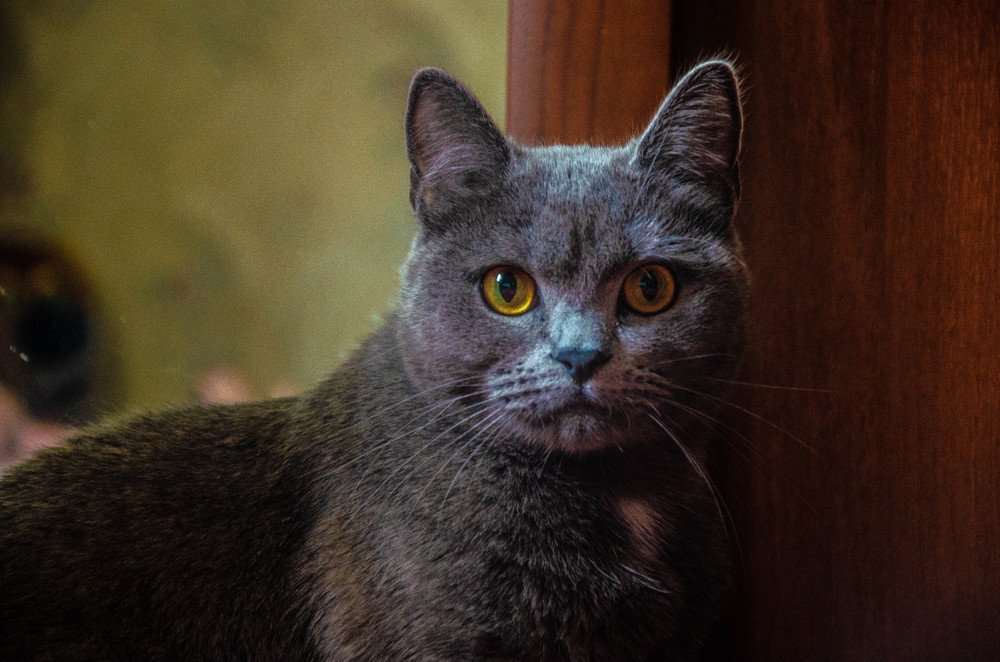 Photograph by Сергей Григоров