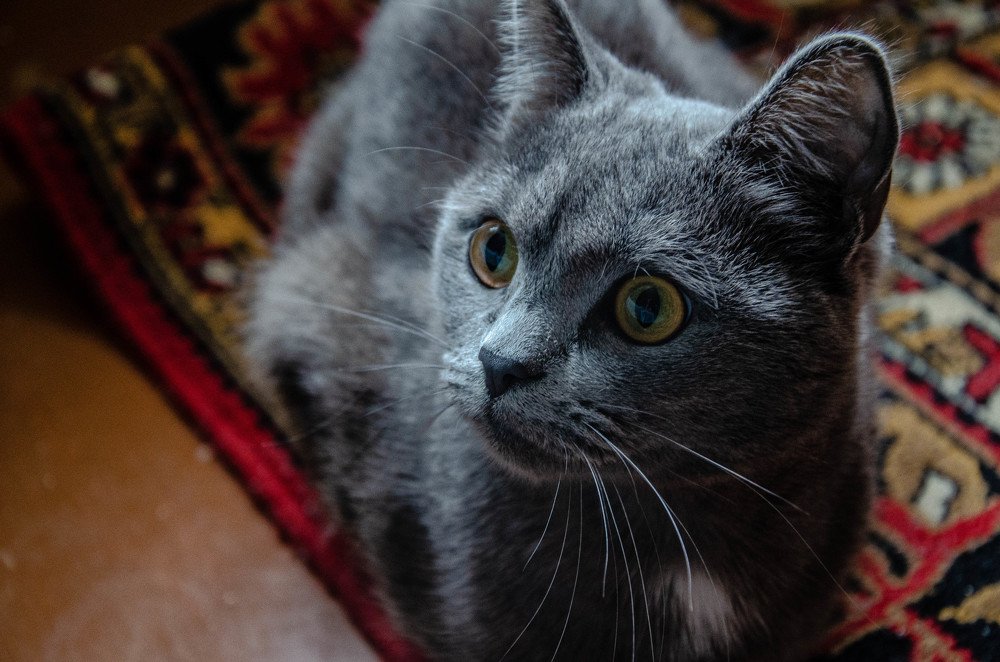 Photograph by Сергей Григоров