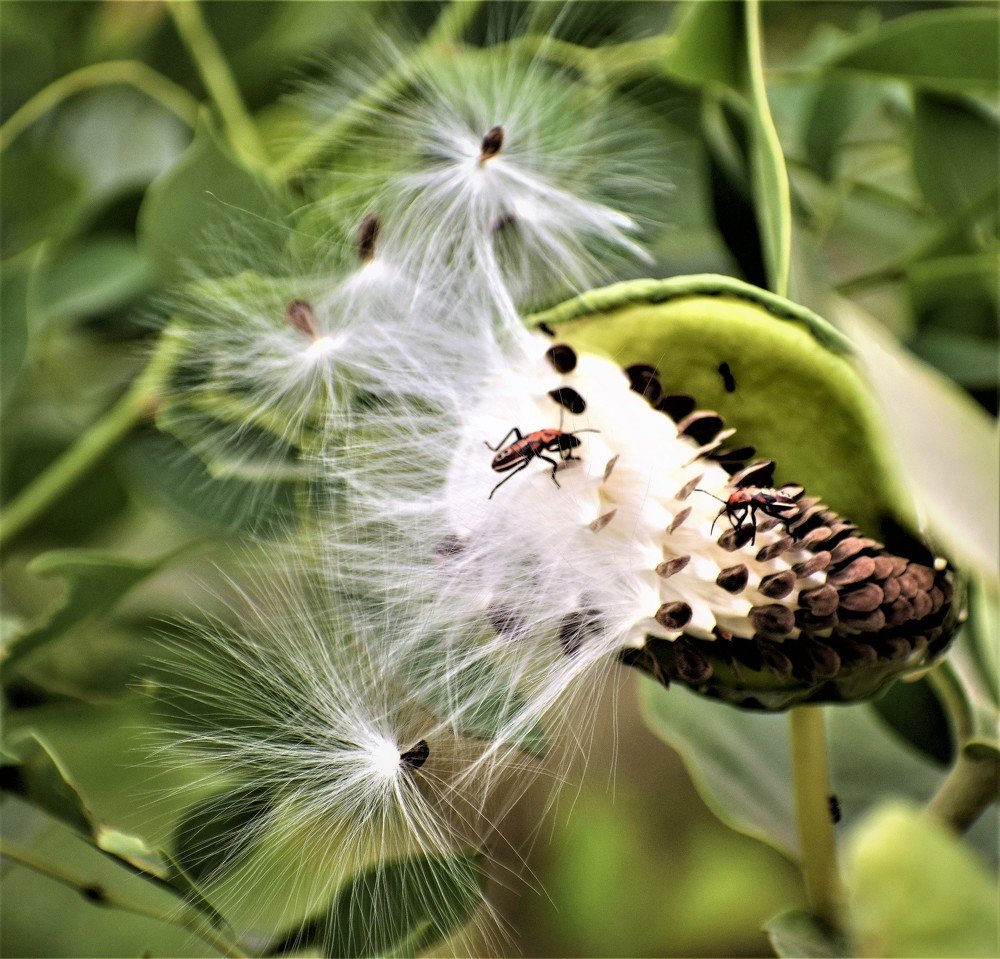 Photograph by Rajeev Sinha