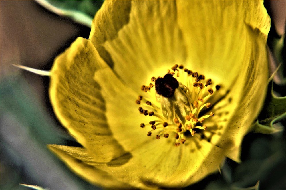 Photograph by Rajeev Sinha