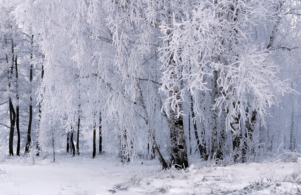 Photograph by Анатолич