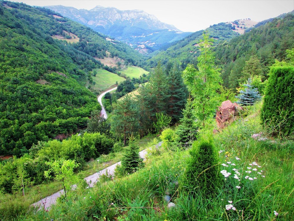 Photograph by Марина Цекова