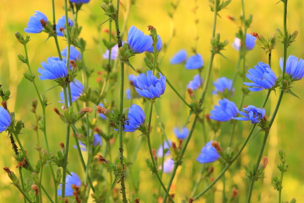 Photograph by Родосская Нонна