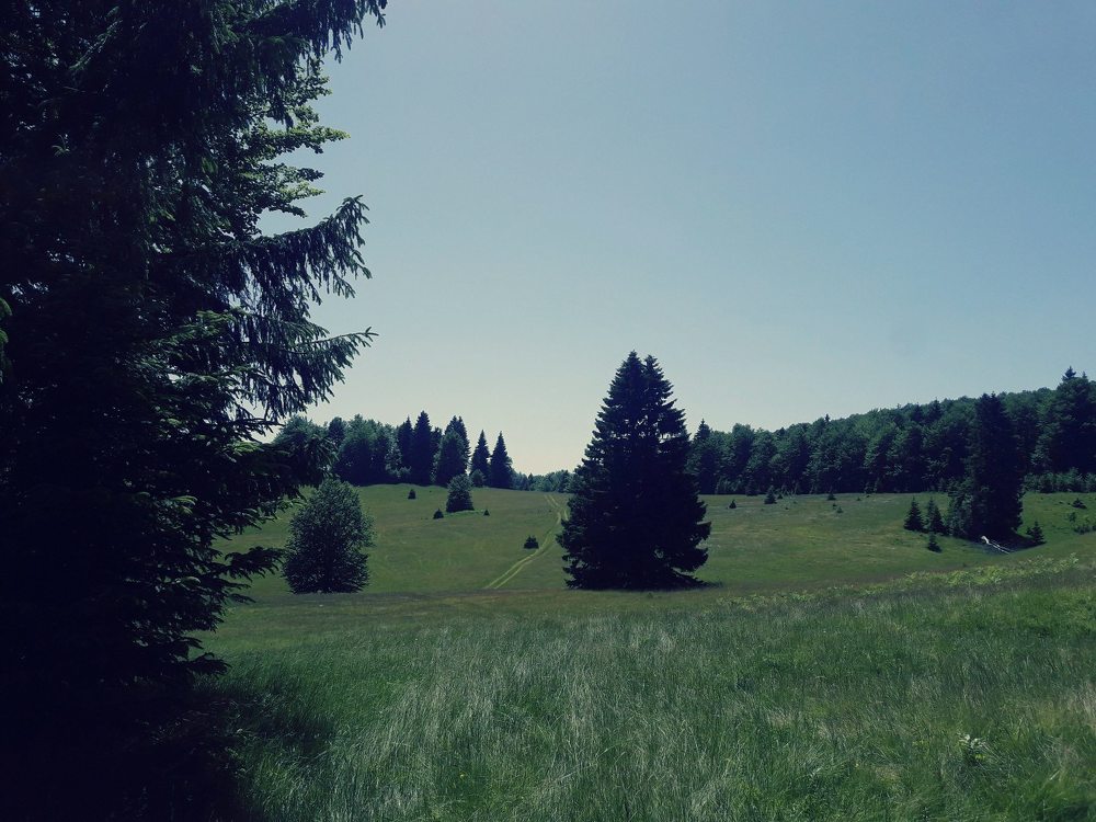 Photograph by Željka Miljić