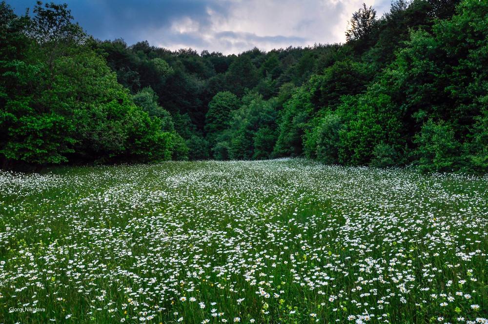 Весна в регионе Рача-Лечхуми