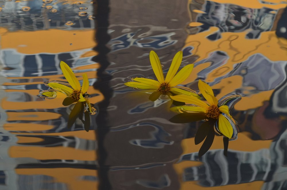 Photograph by Елена Кожевникова