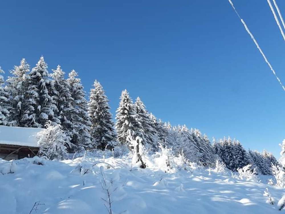 Photograph by Željka Miljić