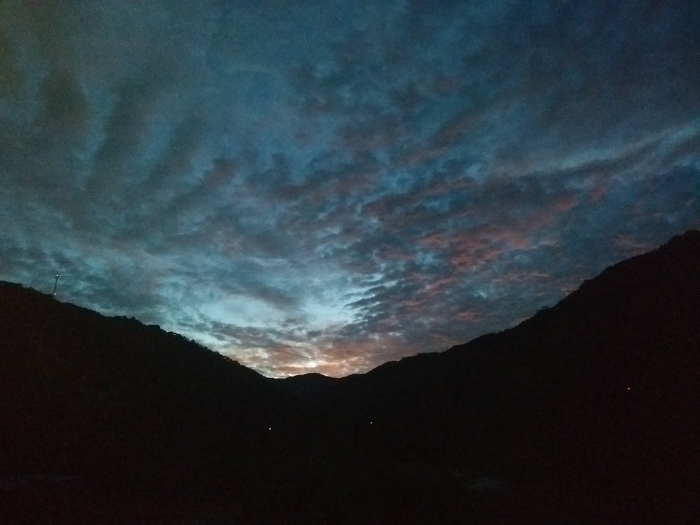 Photo #3578865
