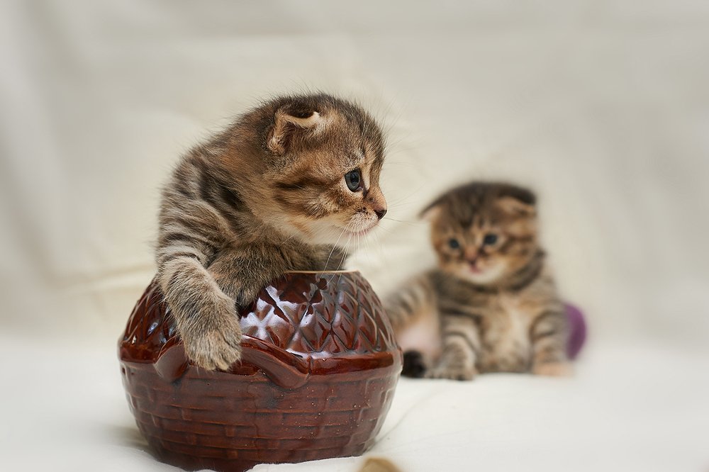 Photograph by Валерий