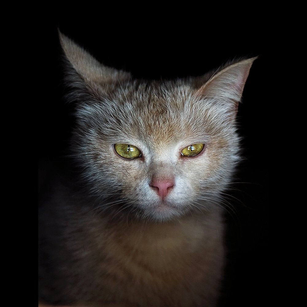 Photograph by Валерий