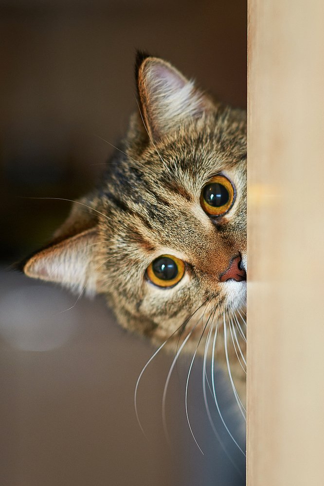 Photograph by Валерий