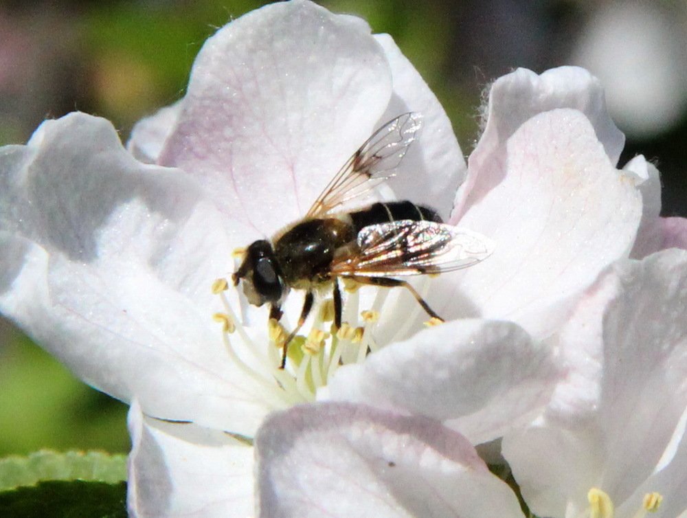 Photograph by Валентина