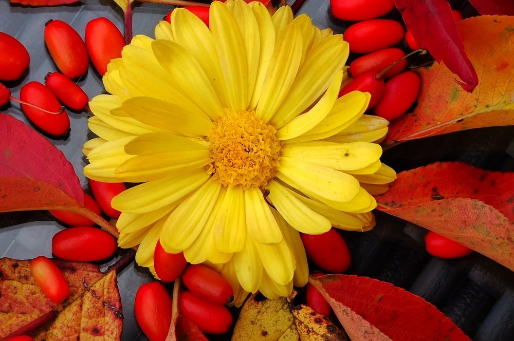 Photograph by Ирина