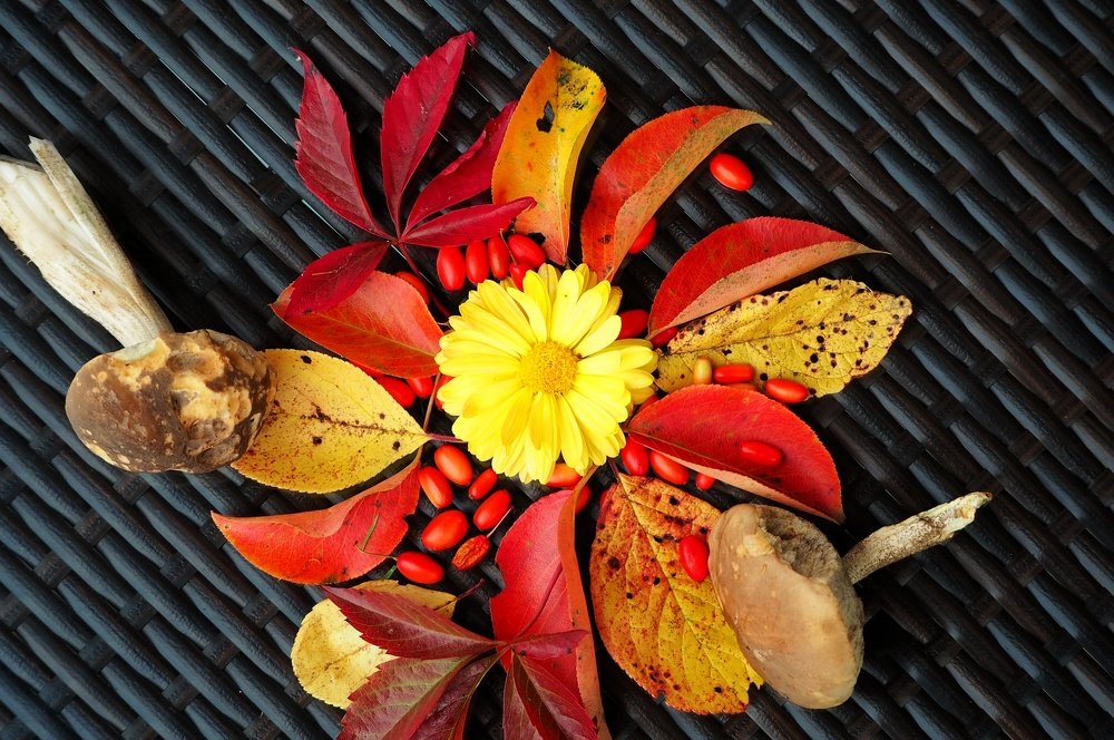 Photograph by Ирина