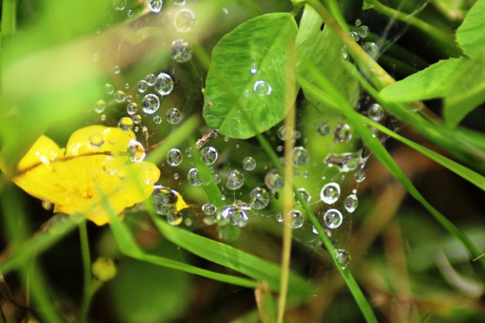 Photograph by Валентина