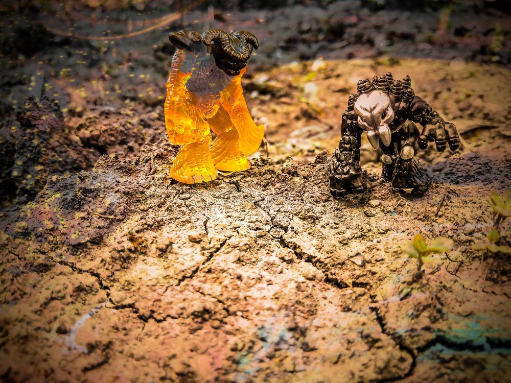 Photograph by Szilveszter Zoltan