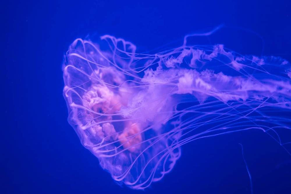 Photograph by Ana Lorena Gamboa