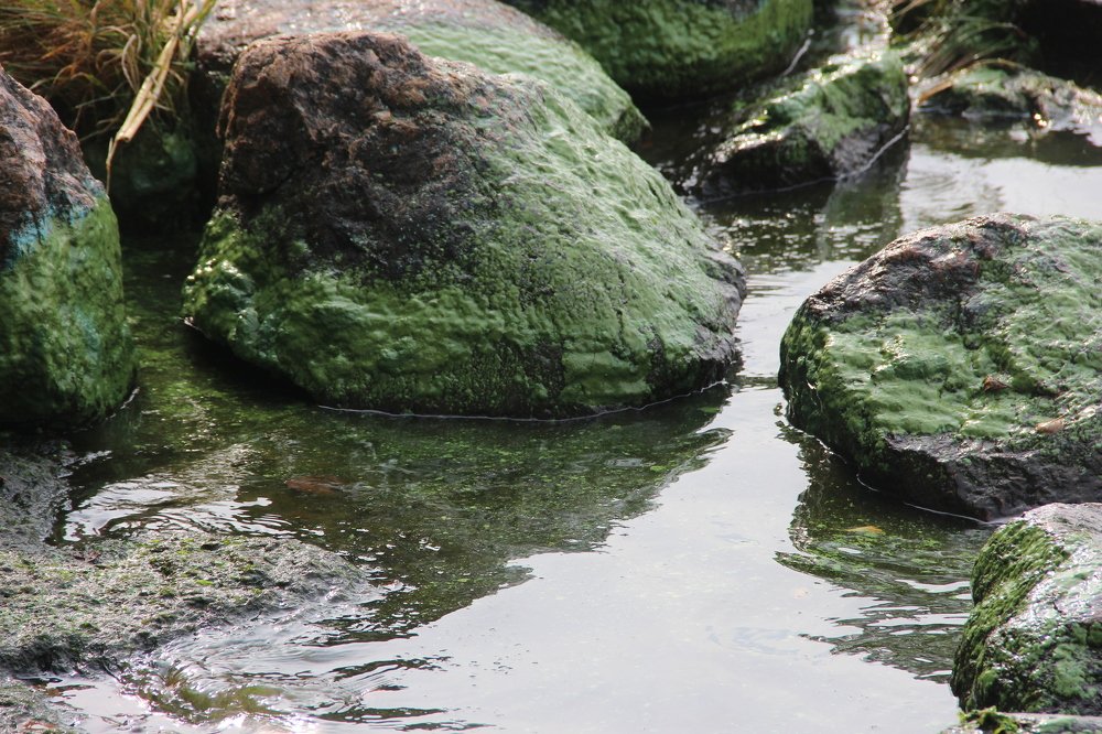 Photograph by Валентина