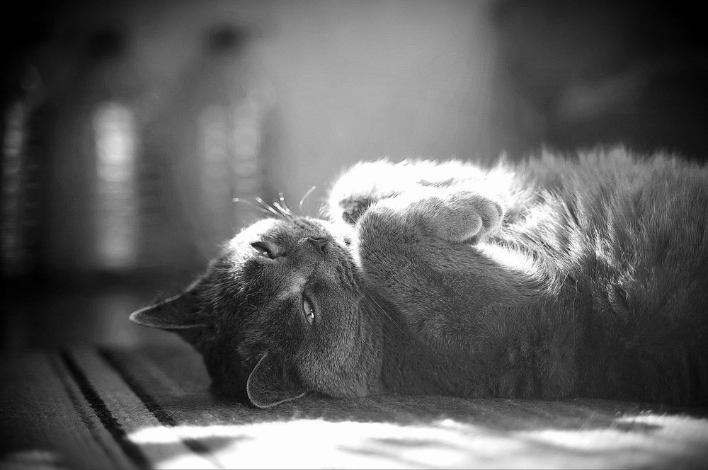 В раздумье...