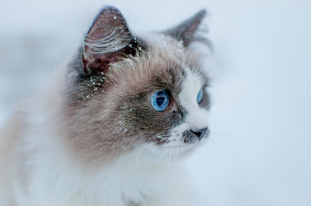 Photograph by Екатерина Корнева