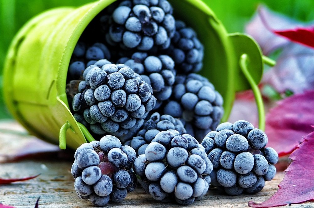 Photograph by Ирина